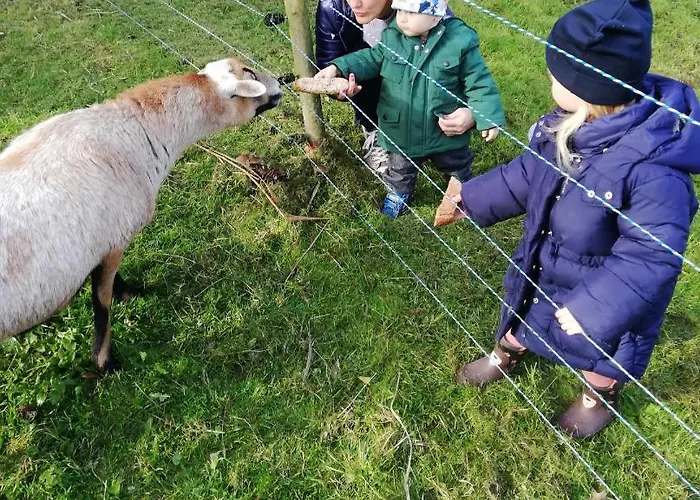 Lägenhet Domecek U Josefa *